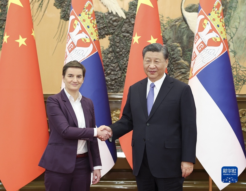 시진핑 주석, 아나 브르나비치 세르비아 총리 회견