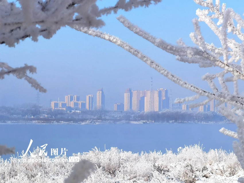 11월 10일부터 상고대가 조금씩 피기 시작한 쑹화강 강변의 지린시는 겨울 초입부터 청량한 공기와 아름다운 겨울 풍경을 맞이했다. [사진 촬영: 자오옌지]