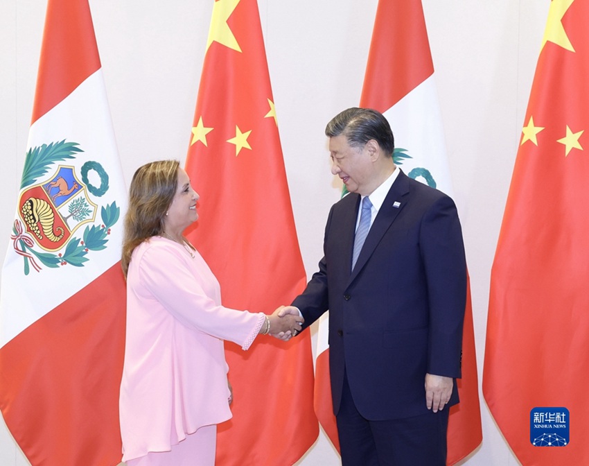 시진핑 주석, 디나 볼루아르테 페루 대통령과 회담