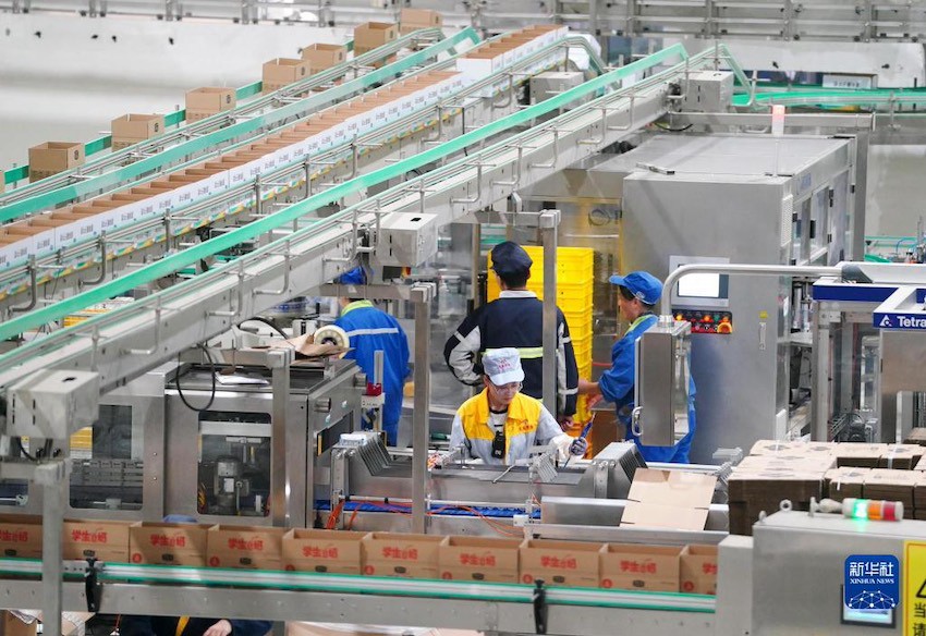 직원들이 포장 컨베이어 벨트에서 일하고 있다. [11월 22일 촬영/사진 출처: 신화사]