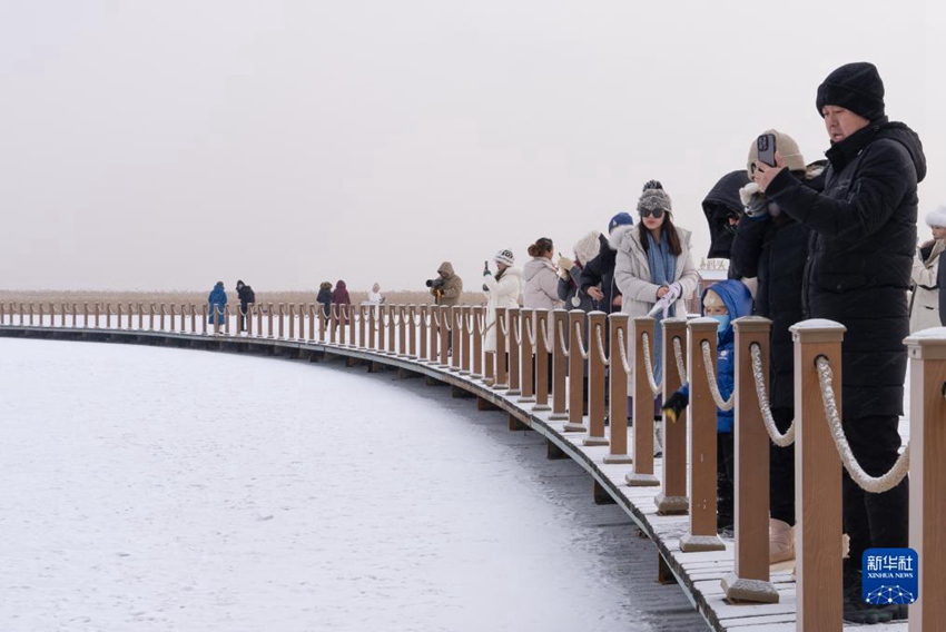 관광객들이 헤이룽장 자룽 국가급 자연보호구를 구경한다. [11월 27일 촬영/사진 출처: 신화사]