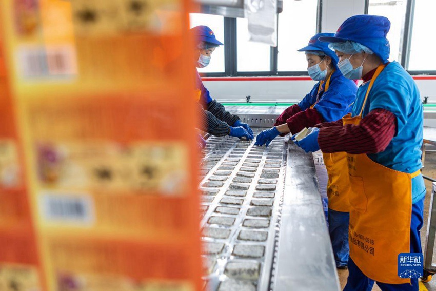 탕싸오 식품유한공사에서 작업자들이 훠궈 소스를 포장하고 있다. [12월 5일 촬영/사진 출처: 신화사]