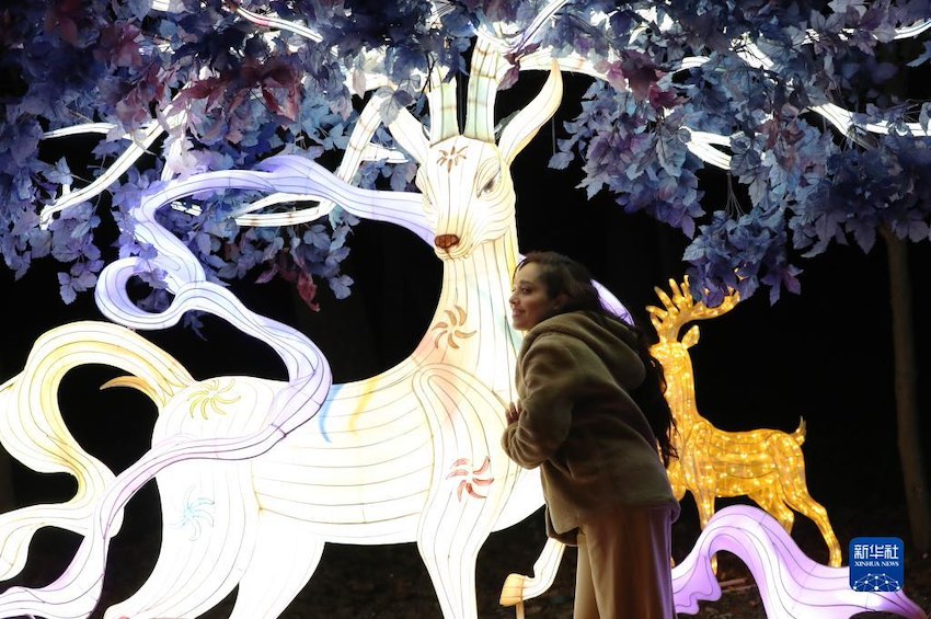 중국 위위안 등불축제, 파리 아클리마타시옹 공원서 개막