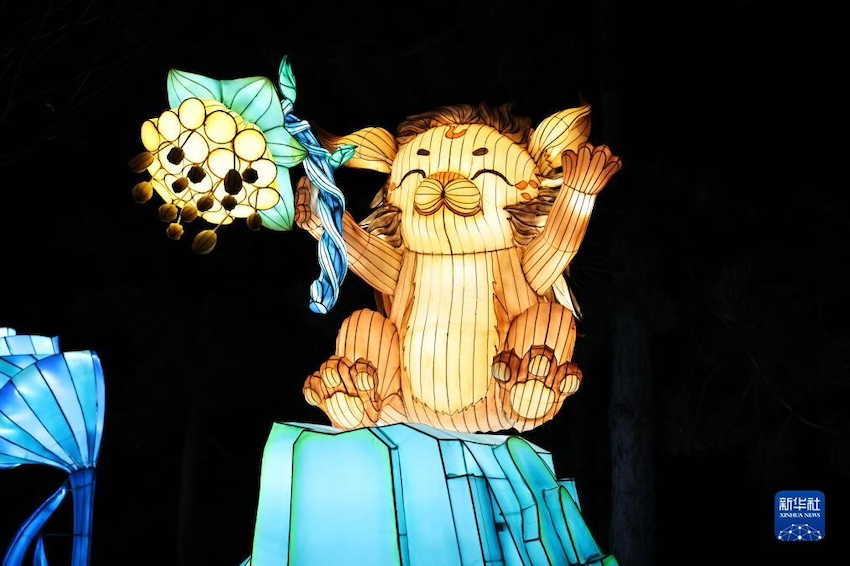‘산해유영’ 프랑스 위위안 등불축제에서 촬영한 꽃등 [12월 14일 촬영/사진 출처: 신화사]