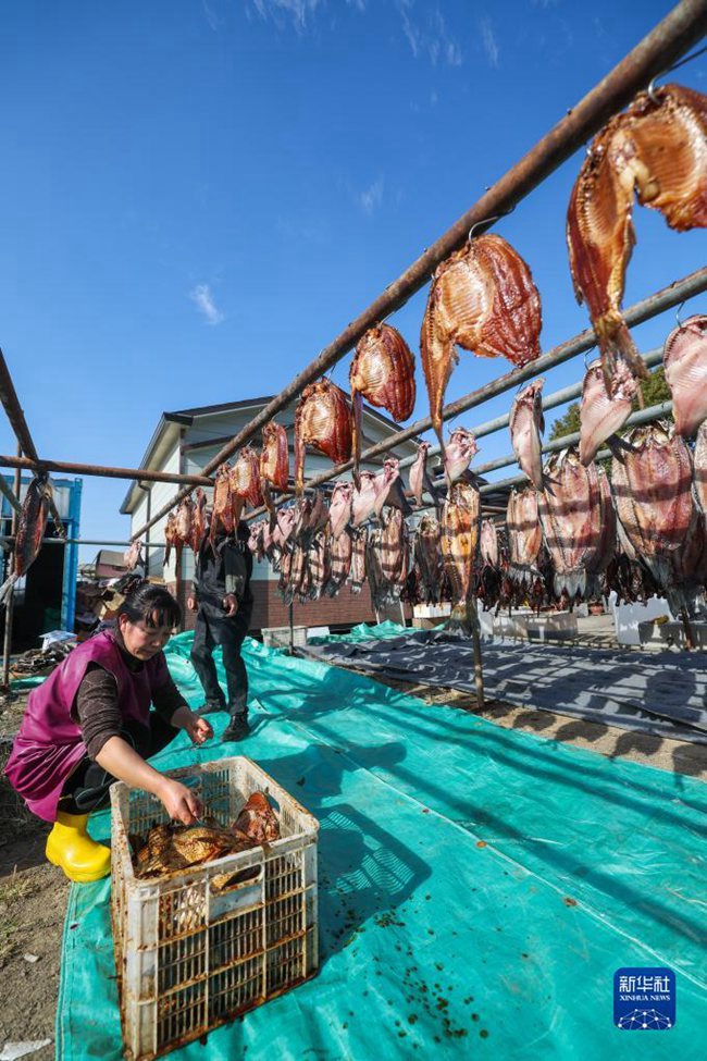 주지시 뎬커우진 바이타호 허자산터우촌 촌민들이 물고기를 말린다. [12월 14일 촬영/사진 출처: 신화사]