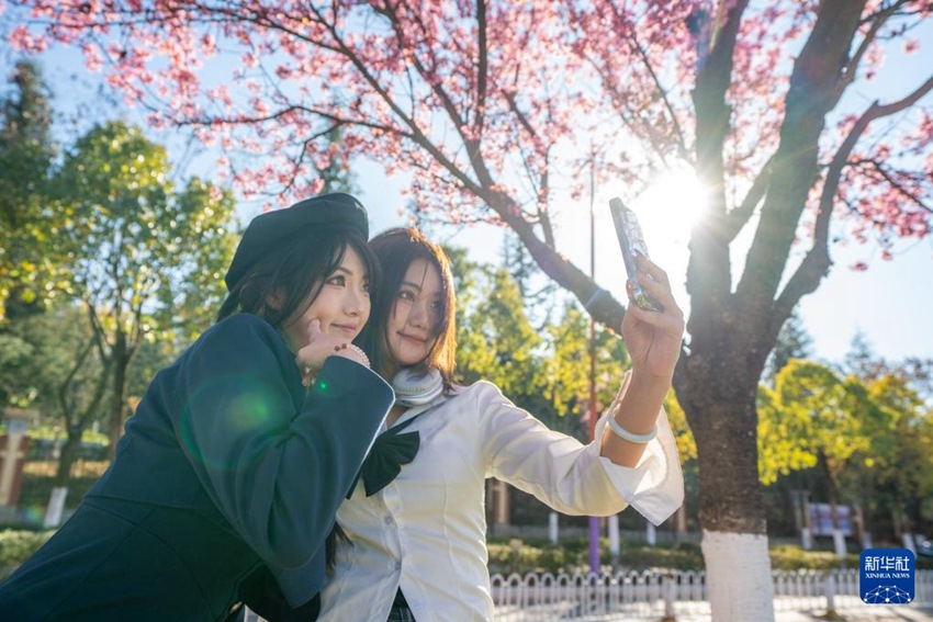 여성 두 명이 겨울 벚꽃 아래서 사진 찍고 있다. [1월 4일 촬영/사진 출처: 신화사]