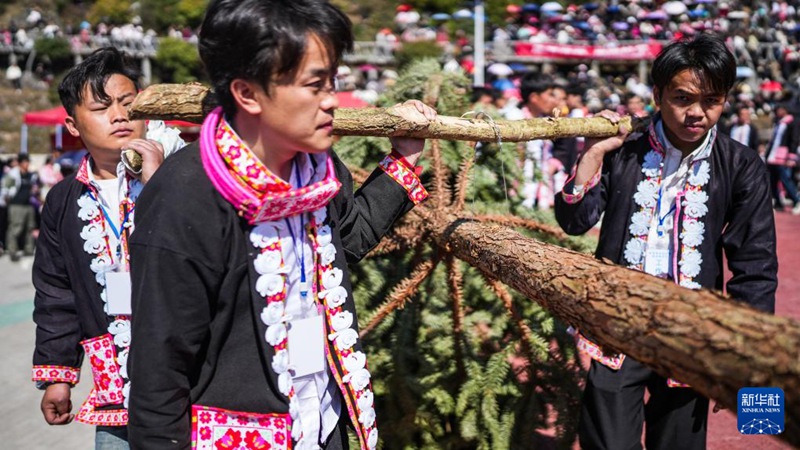 2월 19일, 먀오족 주민들이 행복을 상징하는 꽃나무를 메고 퍼레이드를 하고 있다.