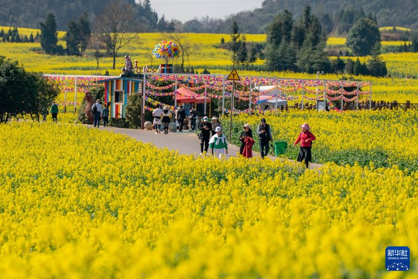 관광객들이 유채꽃을 구경하고 있다. [2월 19일 촬영/사진 출처: 신화사]