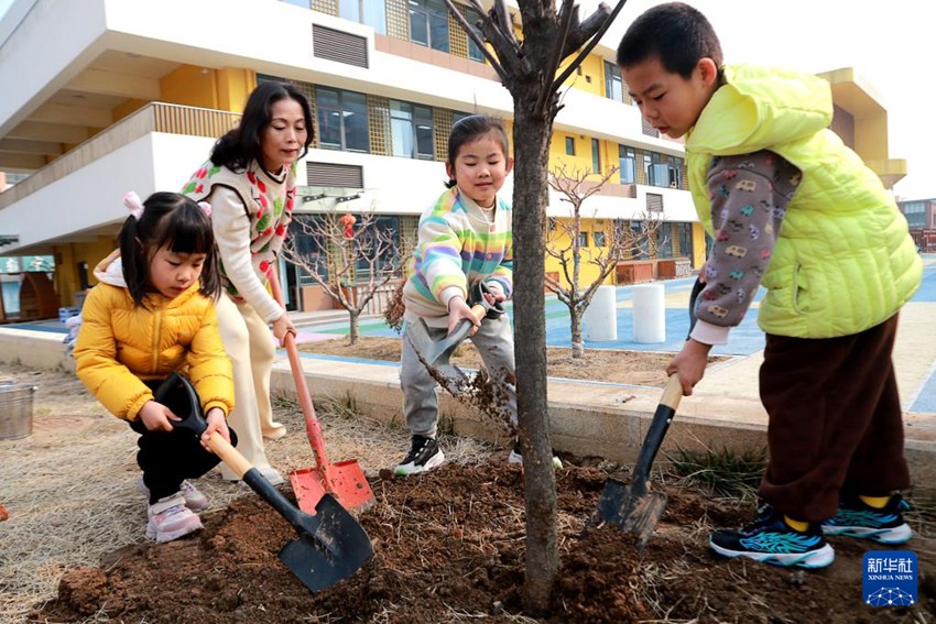 산둥(山東)성 가오미(高密)시 펑밍(鳳鳴)실험유치원에서 아이들이 선생님과 함께 유치원 안에 나무를 심고 있다. [3월 11일 촬영/사진 촬영: 리하이타오(李海濤)]