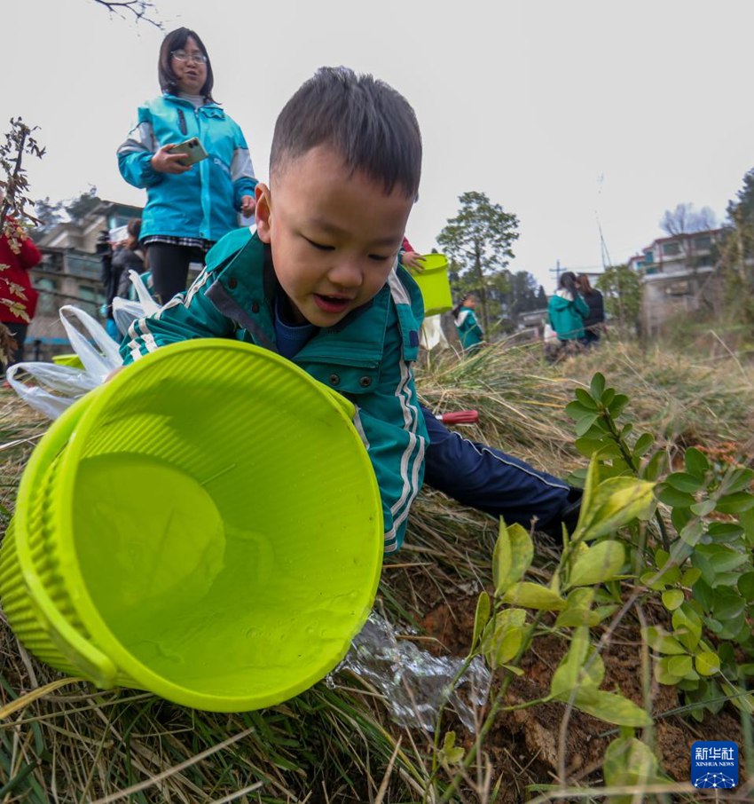 구이저우(貴州)성 카이양(開陽)현 시청(硒城)가도에서 유치원 어린이가 심은 묘목에 물을 주고 있다. [3월 11일 촬영/사진 촬영: 위안푸훙(袁福洪)]