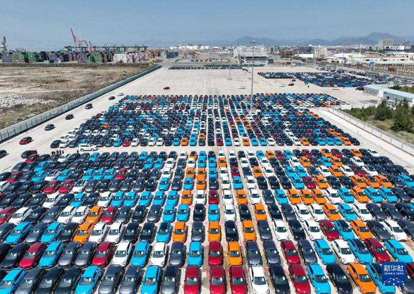 3월 12일, 수출 차량들이 푸저우항 장인 항구지역의 해관감독구역에 정차해 있다. [드론으로 촬영]