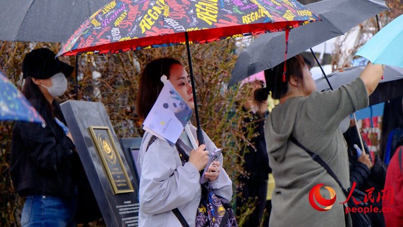 한국 현지 비가 오는 가운데도 다수 팬들이 현장을 방문해 푸바오와의 마지막 인사를 나눈다.