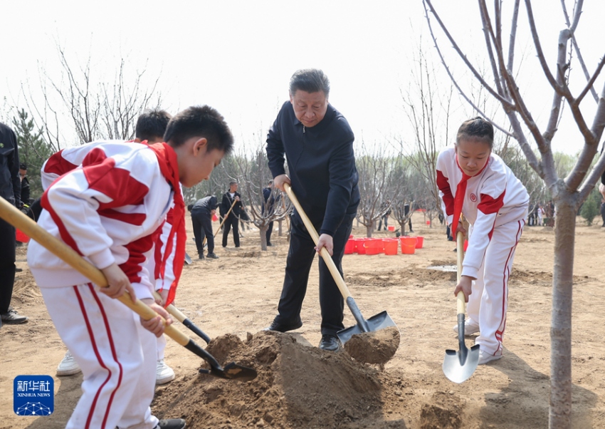 나무심기 행사에 참석한 시진핑 주석