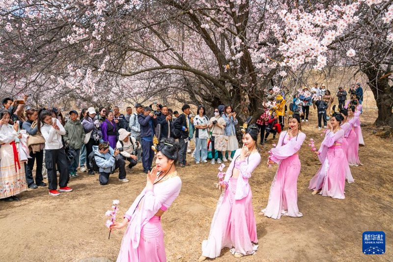 3월 31일, 관광객들이 린즈시 바이구 가라촌에서 춤 공연을 구경한다.