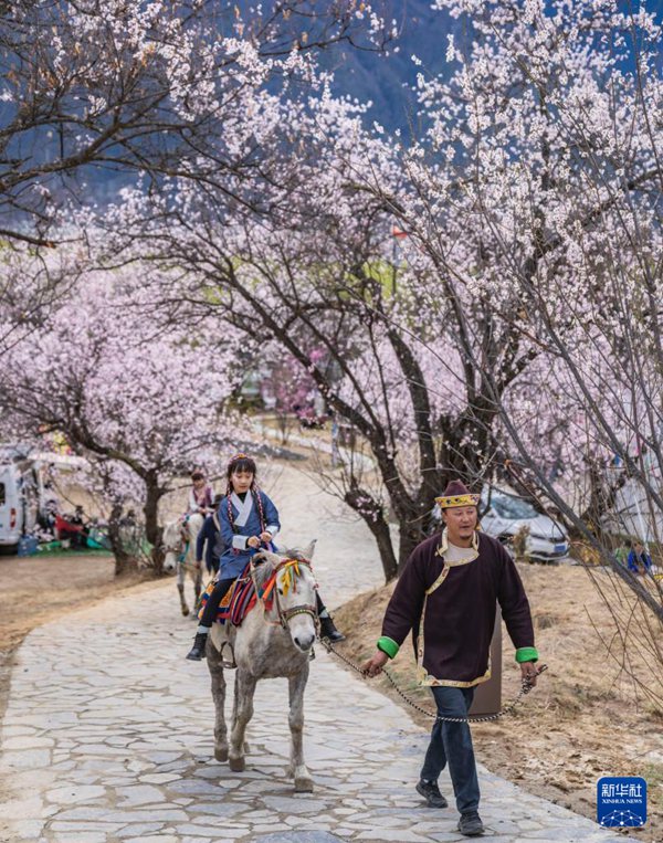 3월 31일, 관광객들이 린즈시 바이구 가라촌에서 말타기를 체험한다.