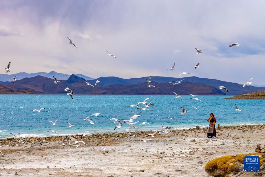 관광객이 양줘융춰 호수 물가에서 새에게 모이를 준다. [4월 5일 촬영/사진 출처: 신화사]