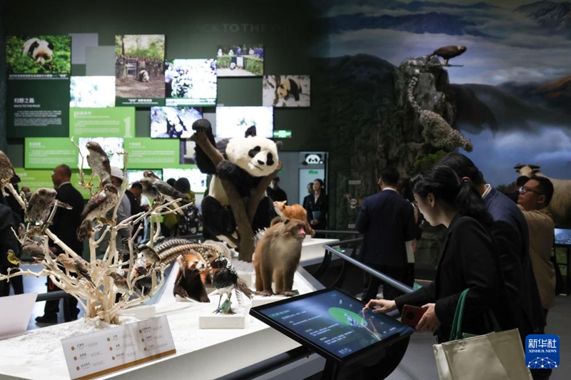 관람객들이 자이언트판다 국제문화교류센터에서 판다와 동거 동물 관련 정보를 살펴본다. [4월 22일 촬영/사진 출처: 신화사]