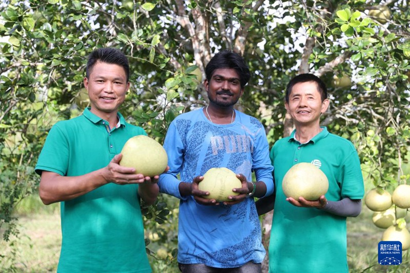 낚시법을 가르쳐라! 수리남 농가 소득증대 이끈 중국 농업기술