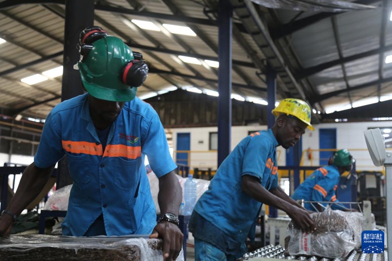 코트디부아르 남부 도시 외곽지역에 위치한 메이란 고무 가공공장에서 직원들이 고무 포장 작업중이다. [6월 10일 촬영/사진 출처: 신화사]