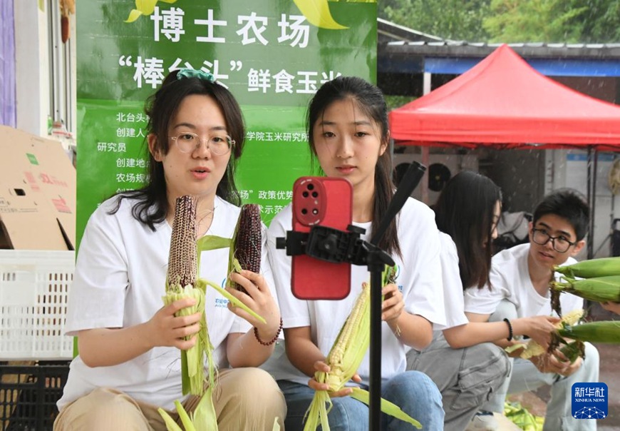 베이징 대학생 농활체험, 향촌진흥에 일조