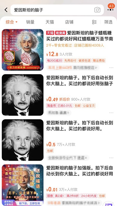 가상 상품 ‘아인슈타인의 뇌’ [사진 출처: 쇼핑몰 사이트 캡처]