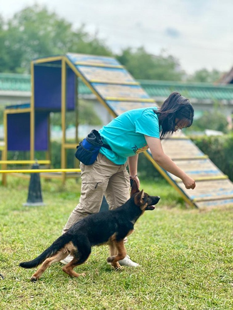 반려동물 프랜차이즈 브랜드 ‘페이버펫츠(Favor Pets)’ 베이징 본사 기지에서 반려동물 훈련사가 반려견을 훈련시키고 있다. [9월 26일 촬영/사진 출처: 신화사]