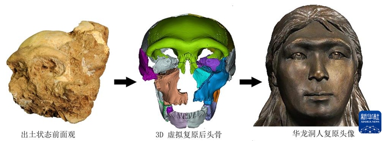 화룡동 6호 두개골 복원 과정 전시 [사진 제공: 중국과학원 고척추 동물∙고인류 연구소]