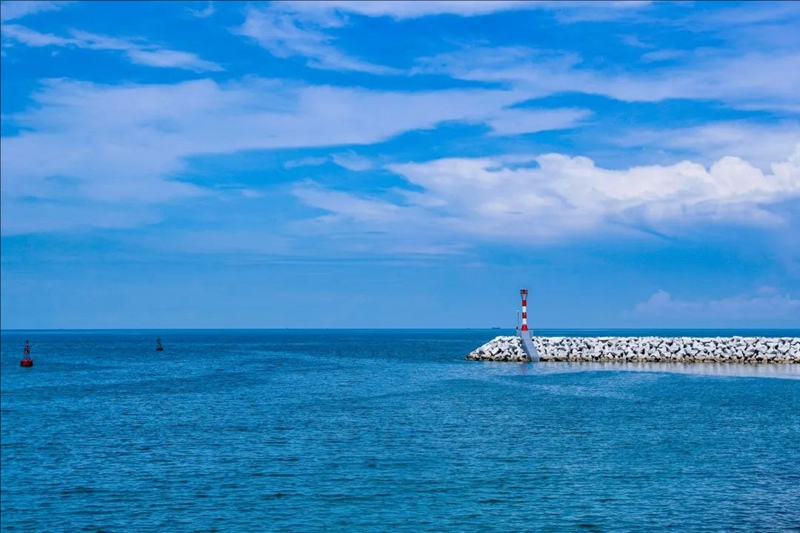 창장원전 주변 해역 환경