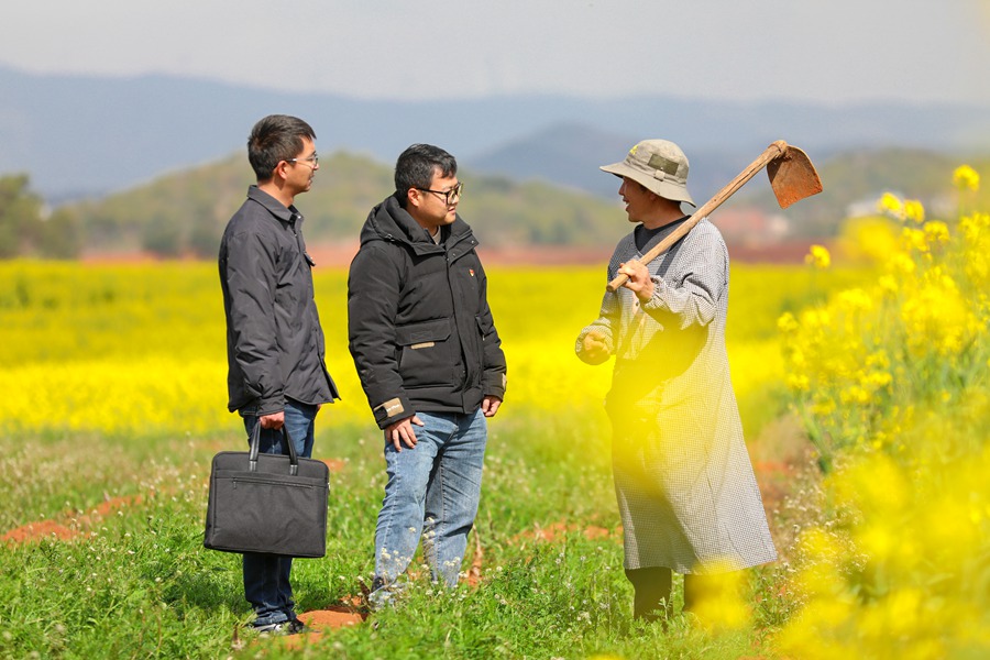 윈난(雲南)성 취징(曲靖)시 루량(陸良)현 당위원회 간부들이 헤이무(黑木)촌을 방문해 봄갈이 준비를 위한 여러 상황과 어려움들을 파악한다.