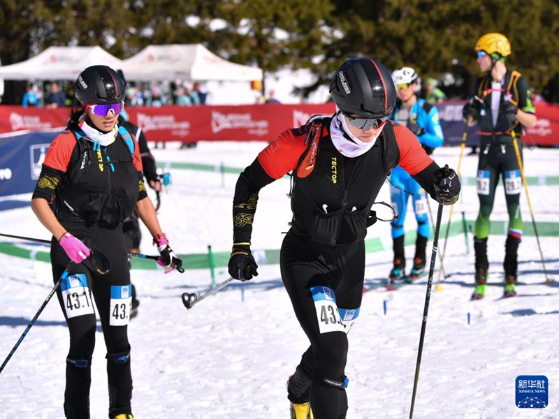 스키모 세계선수권대회, 中 혼성 계주 13위 기록