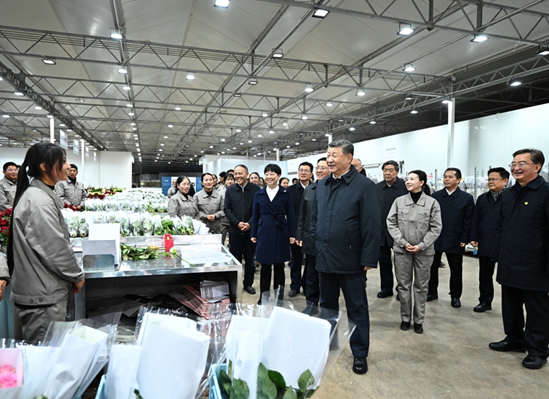 시진핑 주석이 19일 오후 리장 현대화훼산업단지에서 장미꽃 포장 분류 생산라인을 둘러보고 있다.