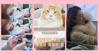 [한국 언니의 슬기로운 베이징 생활] 주말엔 전시회! 집사들을 위한 봄맞이 축제의 장
