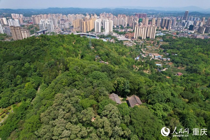 산림 속에 자리한 다쭈 난산(南山)석굴