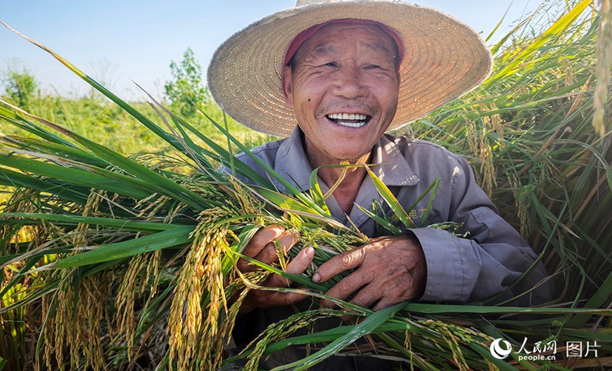 후베이성 징저우(荊州)시 량셴제(兩縣街)촌 촌민이 수확의 성과를 보여주고 있다.