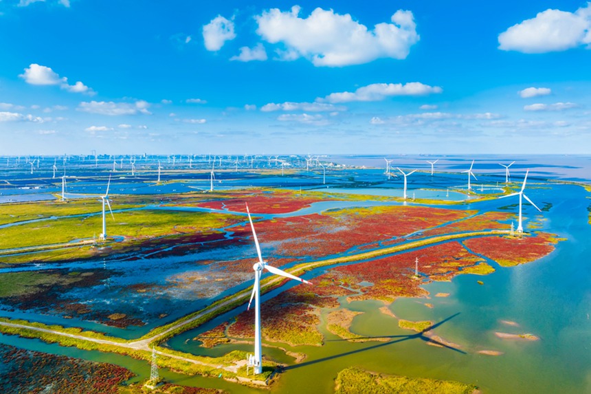 옌청 습지 경관 [사진 촬영: 쑨화진(孫華金)]