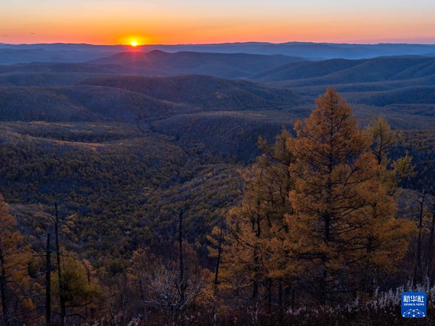 다싱안링 숲바다의 일출 [9월 28일 촬영/사진 출처: 신화사]