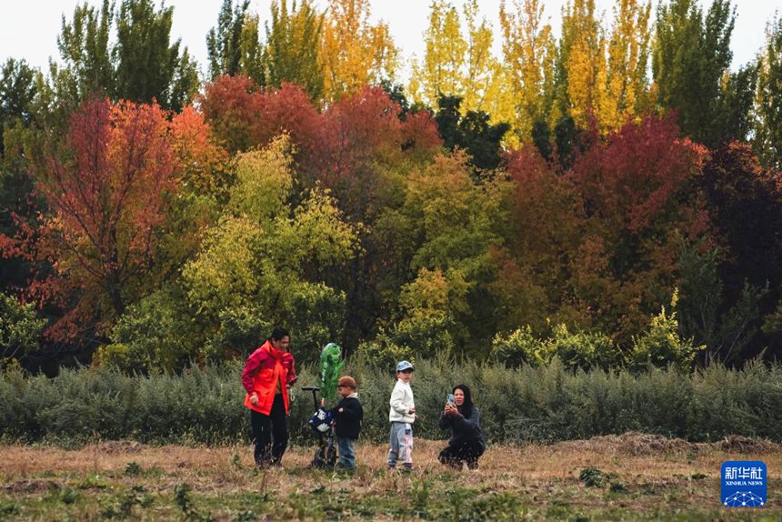 방문객들이 창춘식물원에서 가을 경치를 감상하고 있다. [10월 12일 촬영/사진 출처: 신화사]