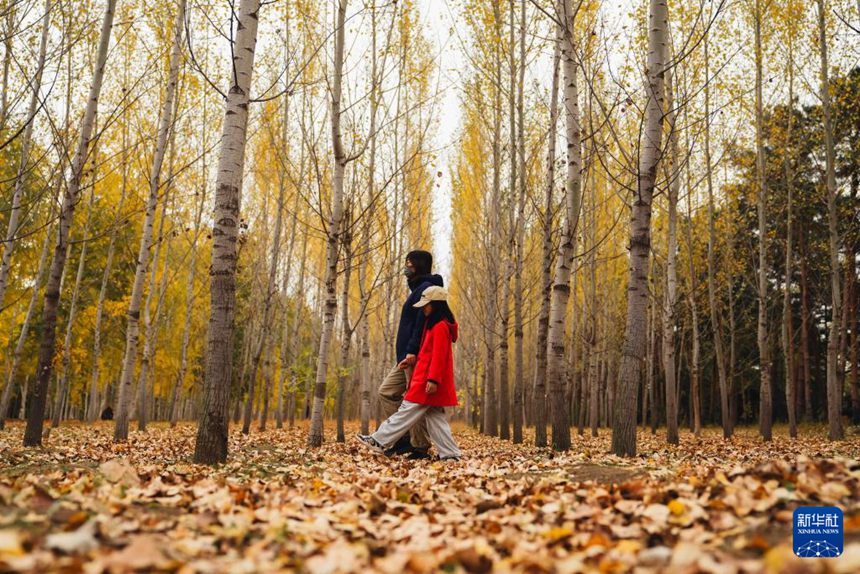 방문객들이 창춘식물원에서 가을 경치를 감상하고 있다. [10월 12일 촬영/사진 출처: 신화사]