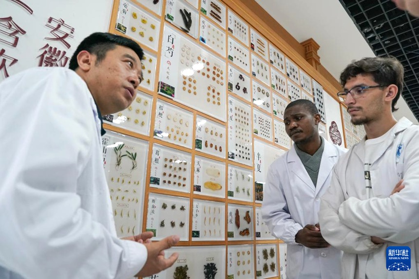 알제리에서 온 창젠안(常健安, 오른쪽)과 짐바브웨에서 온 우춘(가운데)이 판인싱 교수의 지도 아래 약재의 효능을 배우고 있다. [10월 16일 촬영/사진 출처: 신화사]