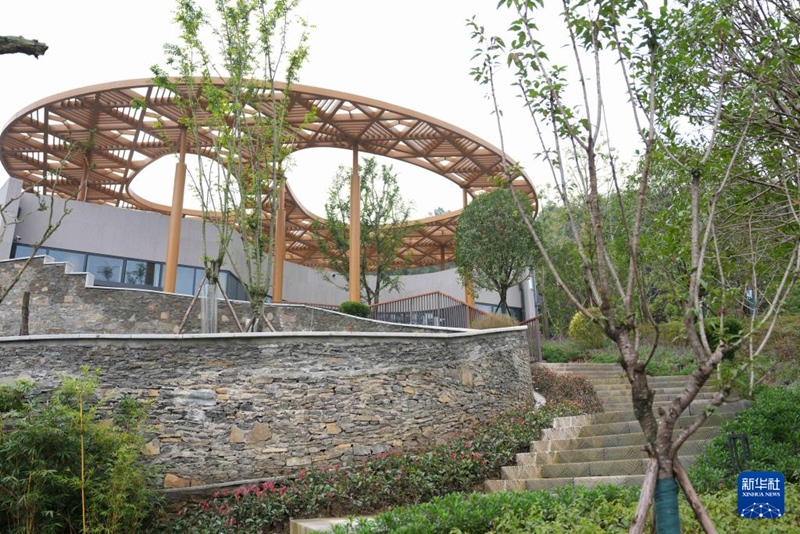 4일 촬영한 중국 자이언트판다 보호연구센터 몐양기지 일각