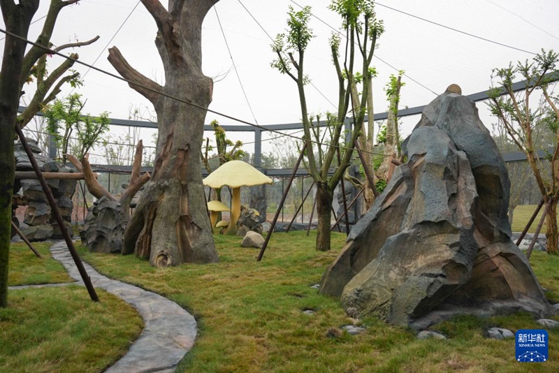 4일 촬영한 중국 자이언트판다 보호연구센터 몐양기지 일각