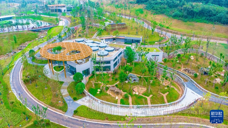 드론으로 촬영한 중국 자이언트판다 보호연구센터 몐양기지