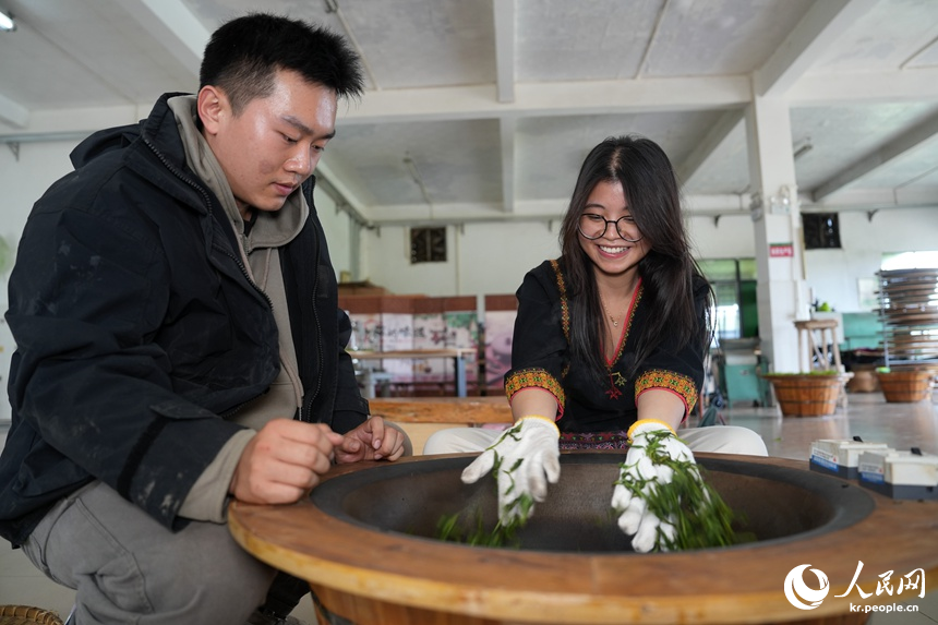 인민망 베트남 출신 전문가가 차 제조를 체험하고 있다. [사진 출처: 인민망]