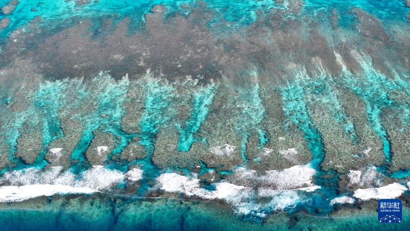 8일 촬영한 황옌다오 국가급 자연보호구역 [드론으로 촬영/사진 출처: 신화사]