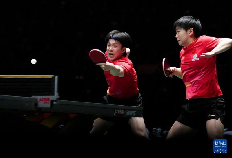 중국팀 왕추친(王楚欽·좌)/쑨잉사(孫穎莎) 조가 혼합 복식 경기에서 경기 중인 모습. 그들은 일본팀 마츠시마 소라/오도 사츠키 조를 3:0으로 이겼다. [12월 7일 촬영/사진 출처: 신화사]