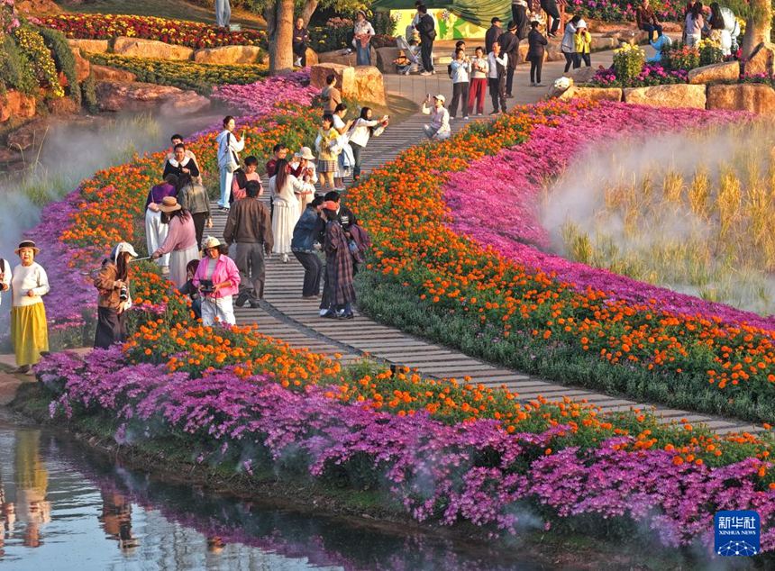 [포토] 광시 난닝, 겨울 햇살 아래 만개한 꽃의 정취