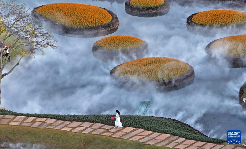 칭슈산 풍경구 추스화원에서 산책하며 꽃을 구경하는 관광객 [11월 26일 드론 촬영/사진 출처: 신화사]