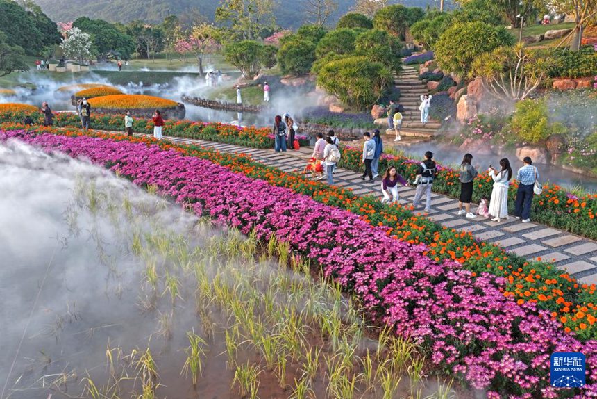 칭슈산 풍경구 추스화원에서 꽃을 감상하는 관광객들 [11월 26일 드론 촬영/사진 출처: 신화사]