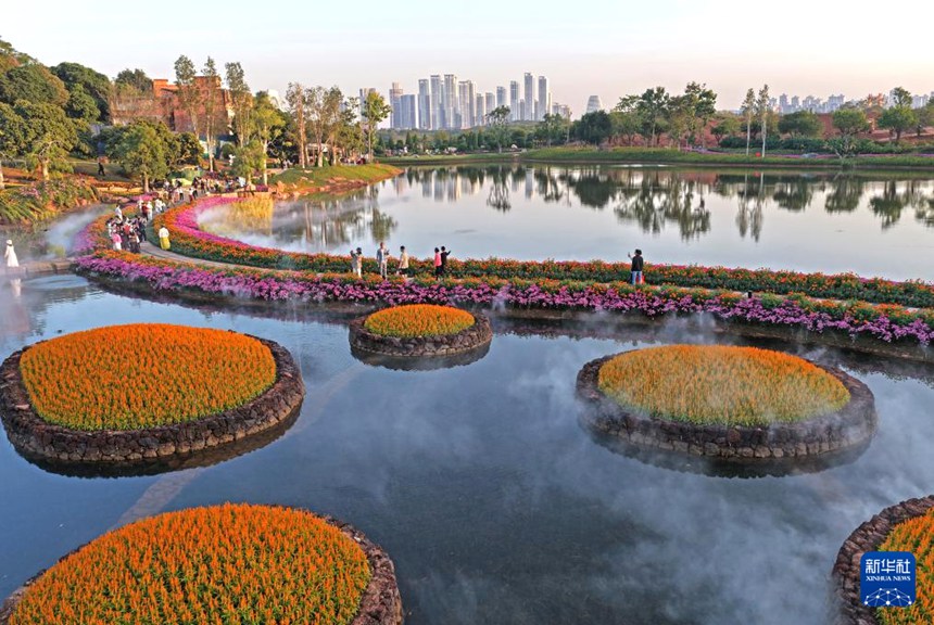 칭슈산 풍경구 추스화원에서 꽃을 감상하는 관광객들 [11월 26일 드론 촬영/사진 출처: 신화사]