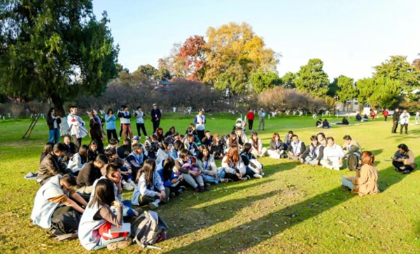 한중 청년과 전문가가 ‘잔디 대화’ 황동 중인 모습